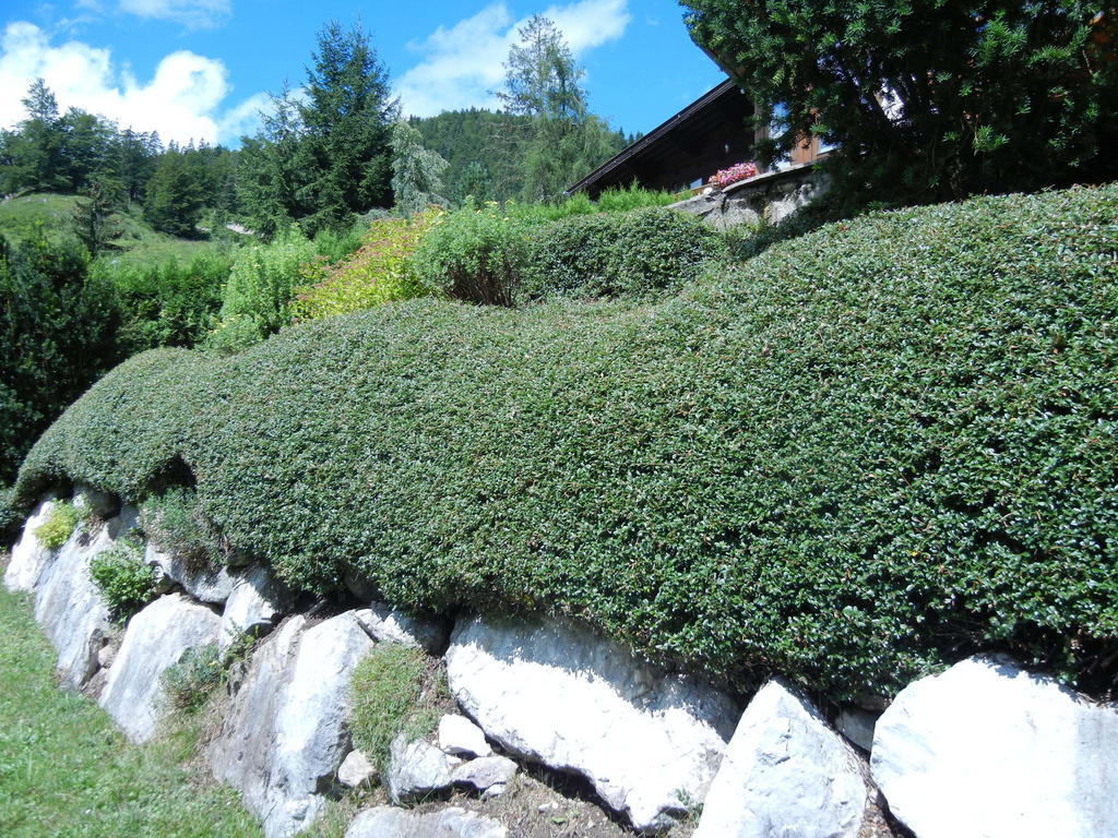 Privathaus Achensee Achenkirch Quarto foto